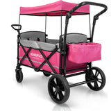 Pull & Push Double Stroller Wagon 2 Seater