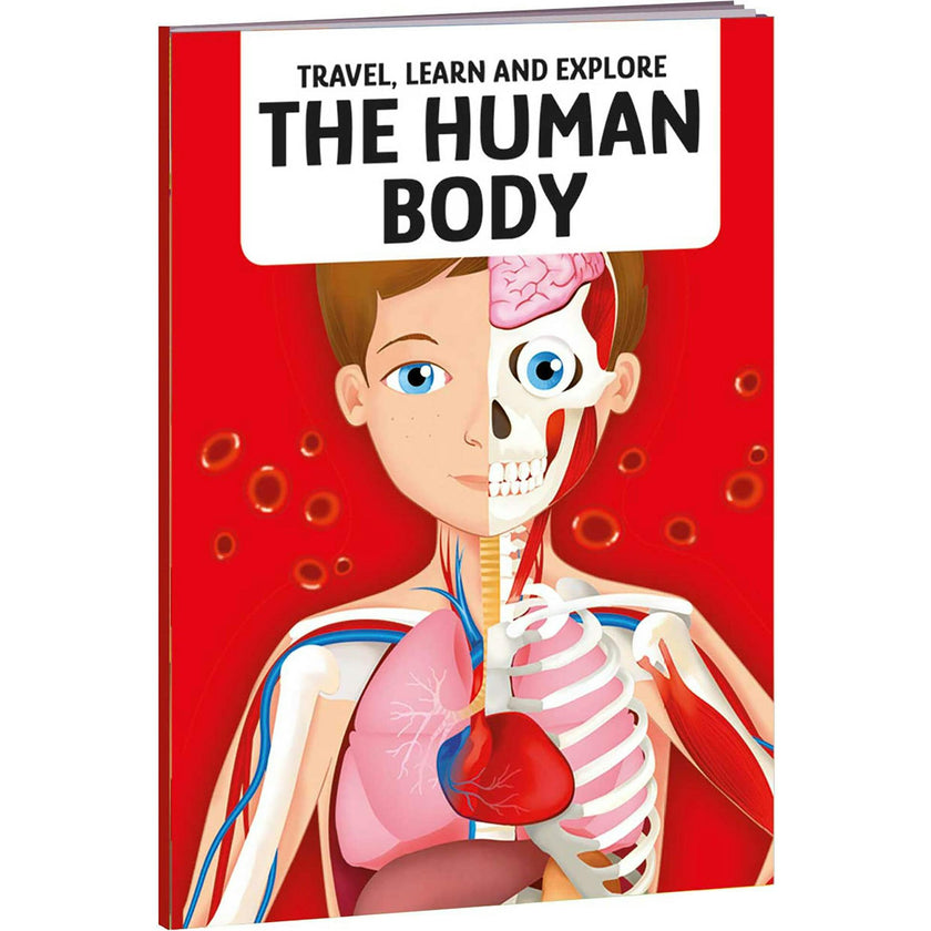 Travel, Learn & Explore: HUMAN BODY