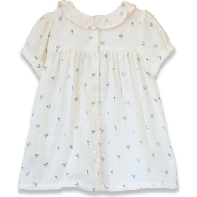 Toddler Emily dress with Lace trim | Petit Floret