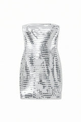 Sam Silver Rectangular Sequin Dress