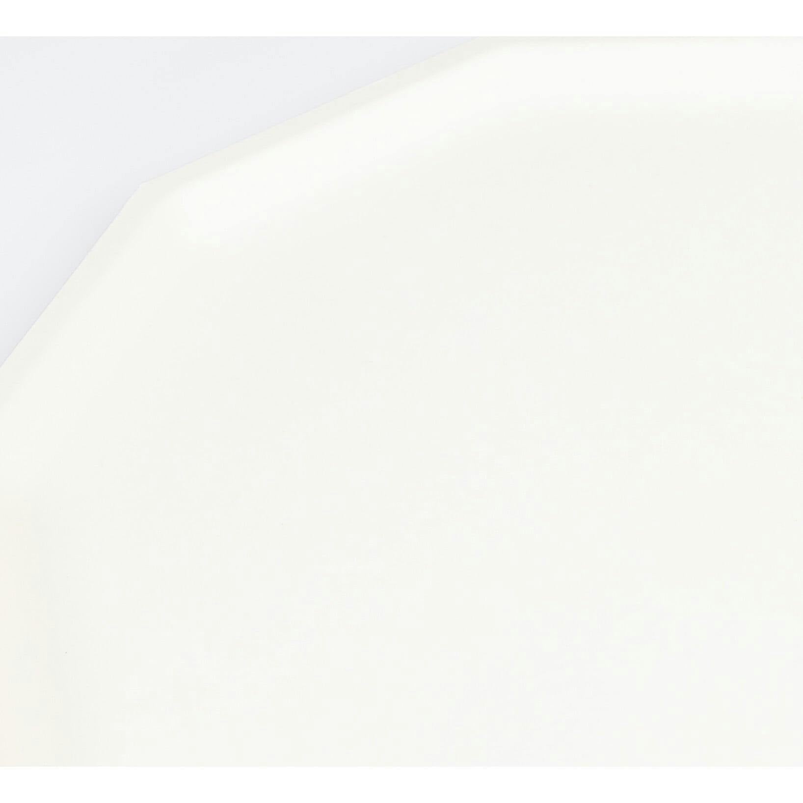 Cream Decagon Compostable Dinner Plates