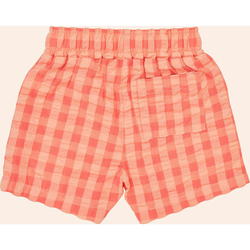 Marco Shorts