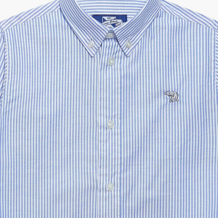 Thomas Shirt in Navy Striped