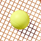 Beach Rackets: Tierra