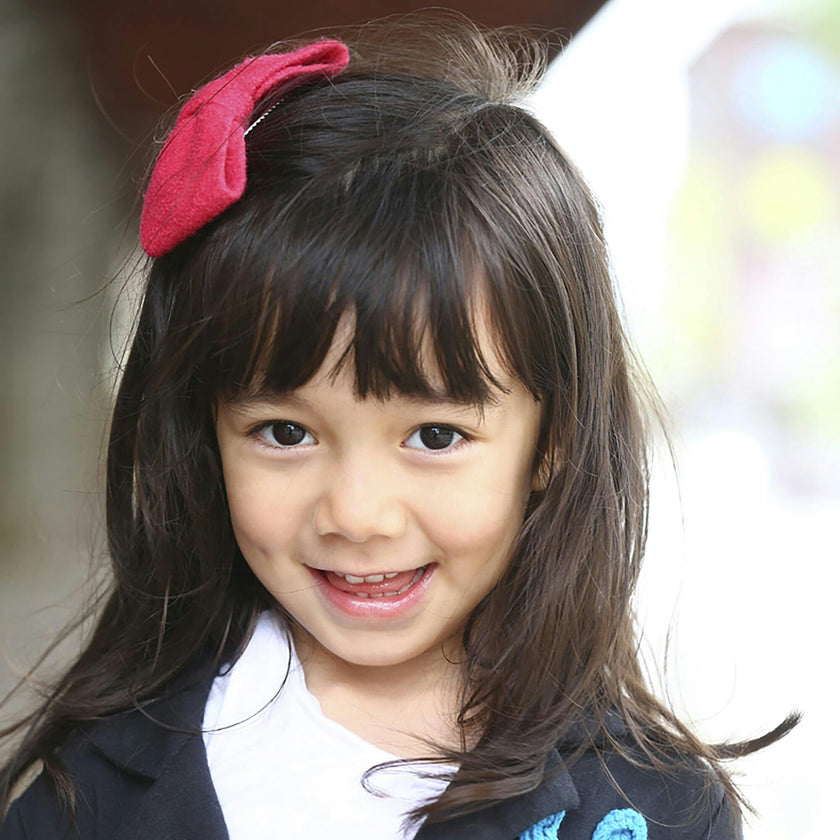 Bowe Hair Clip