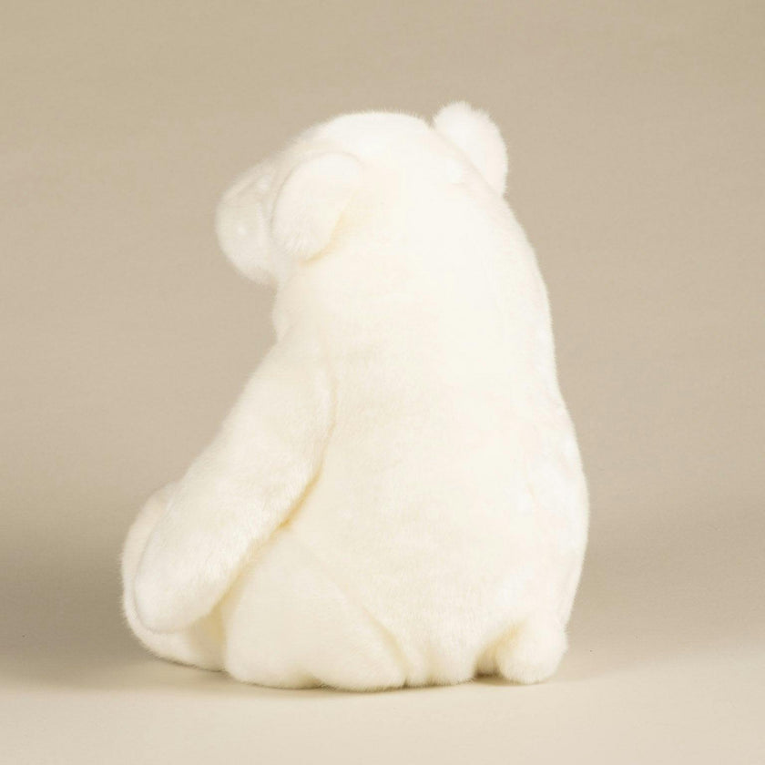 Paul-Emile the Polar Bear