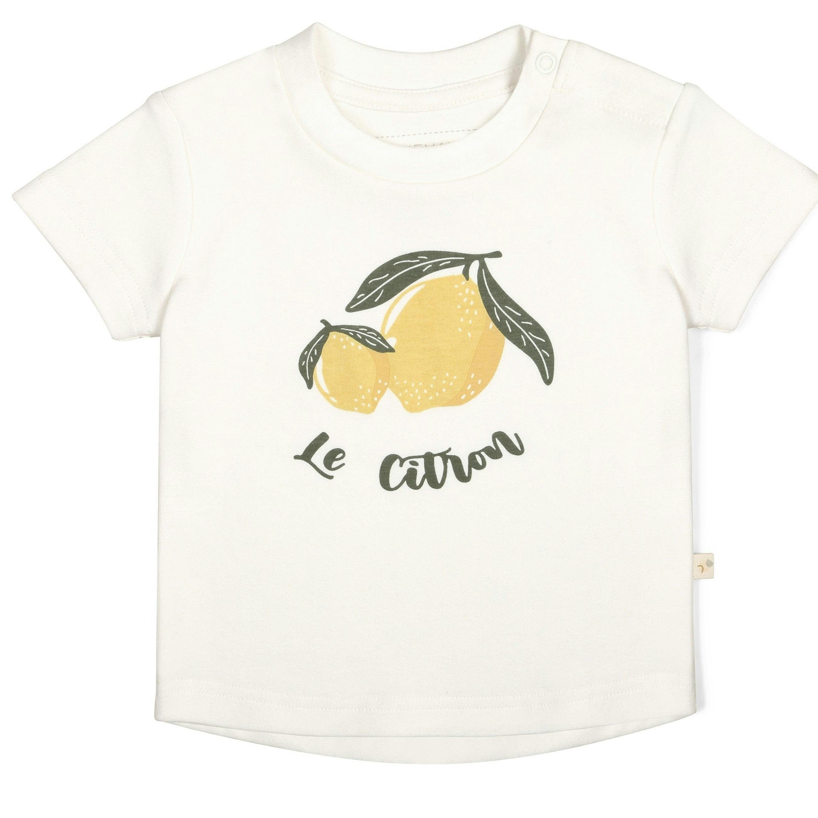 Organic Crew Neck Tee