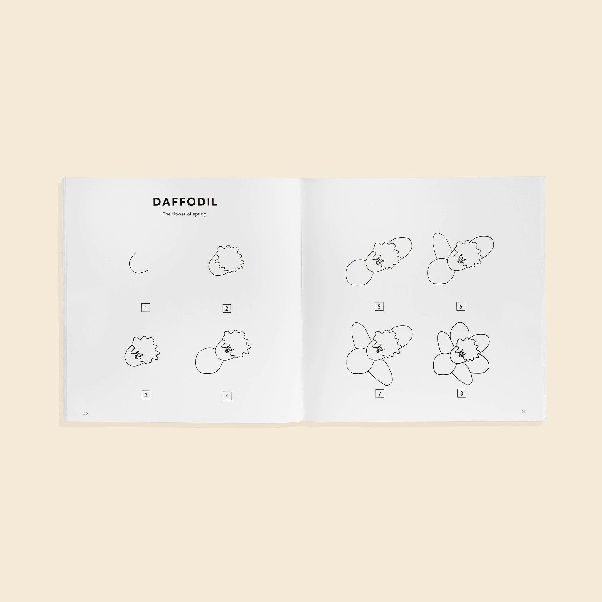 Modern Flowers: How to Draw Books for Kids