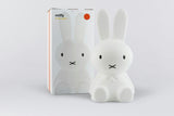Mr Maria Miffy Lights