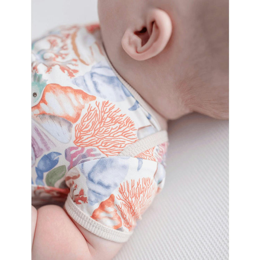 Wren Body Short Sleeves