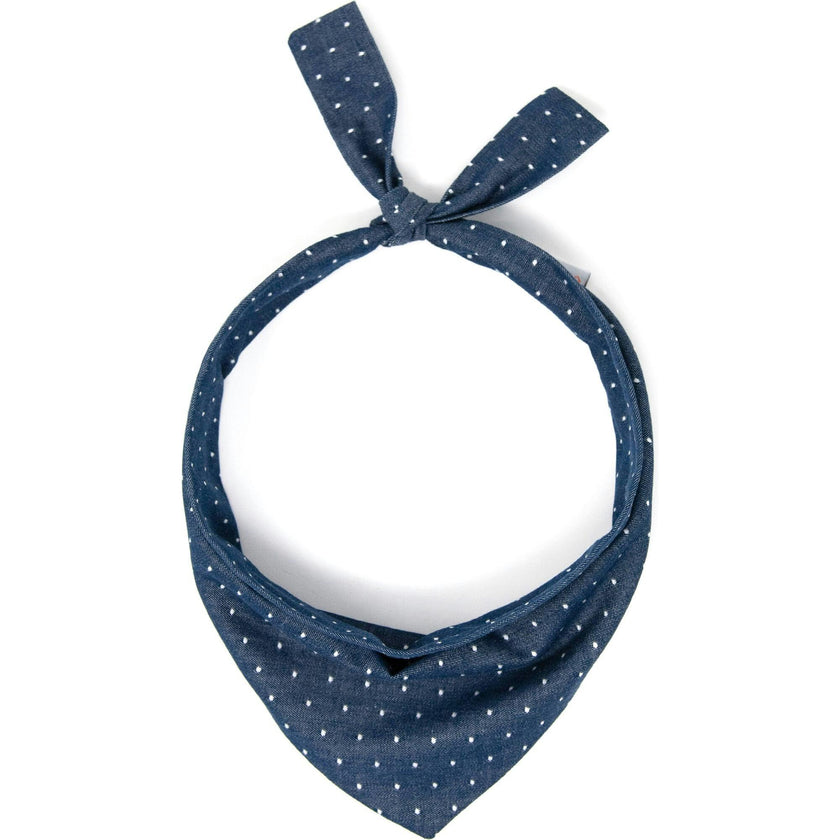 Neckwear, Dots