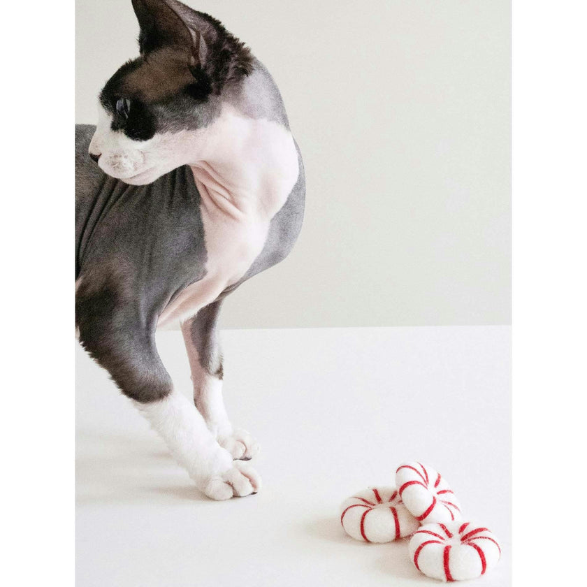 KITTY PEPPERMINT