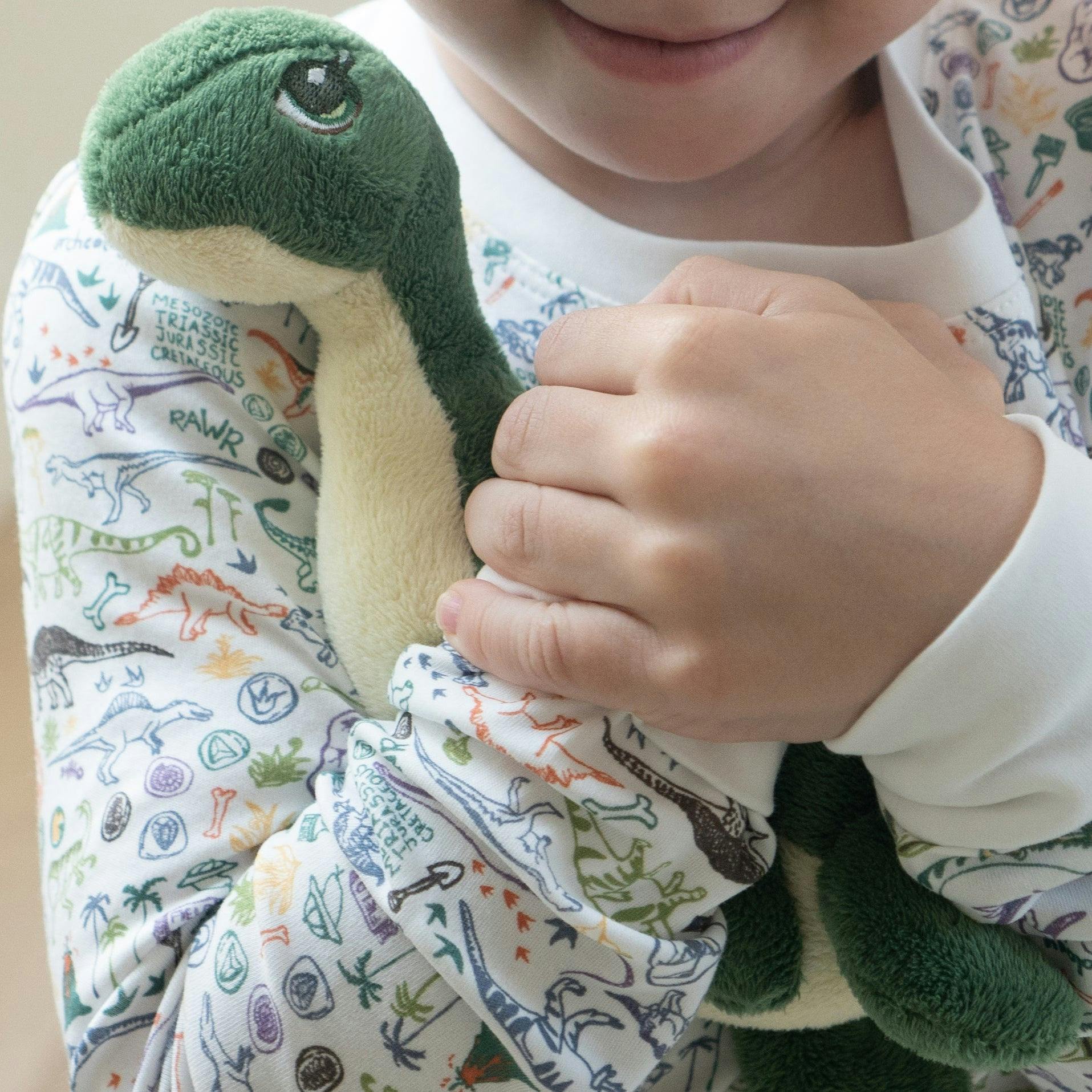 Dino Baby Bandana Bib