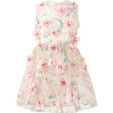 Rosalia Embroidered Mini Dress