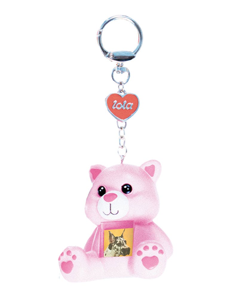 Photo Frame Key Chain Blind Box Figure - Series 1