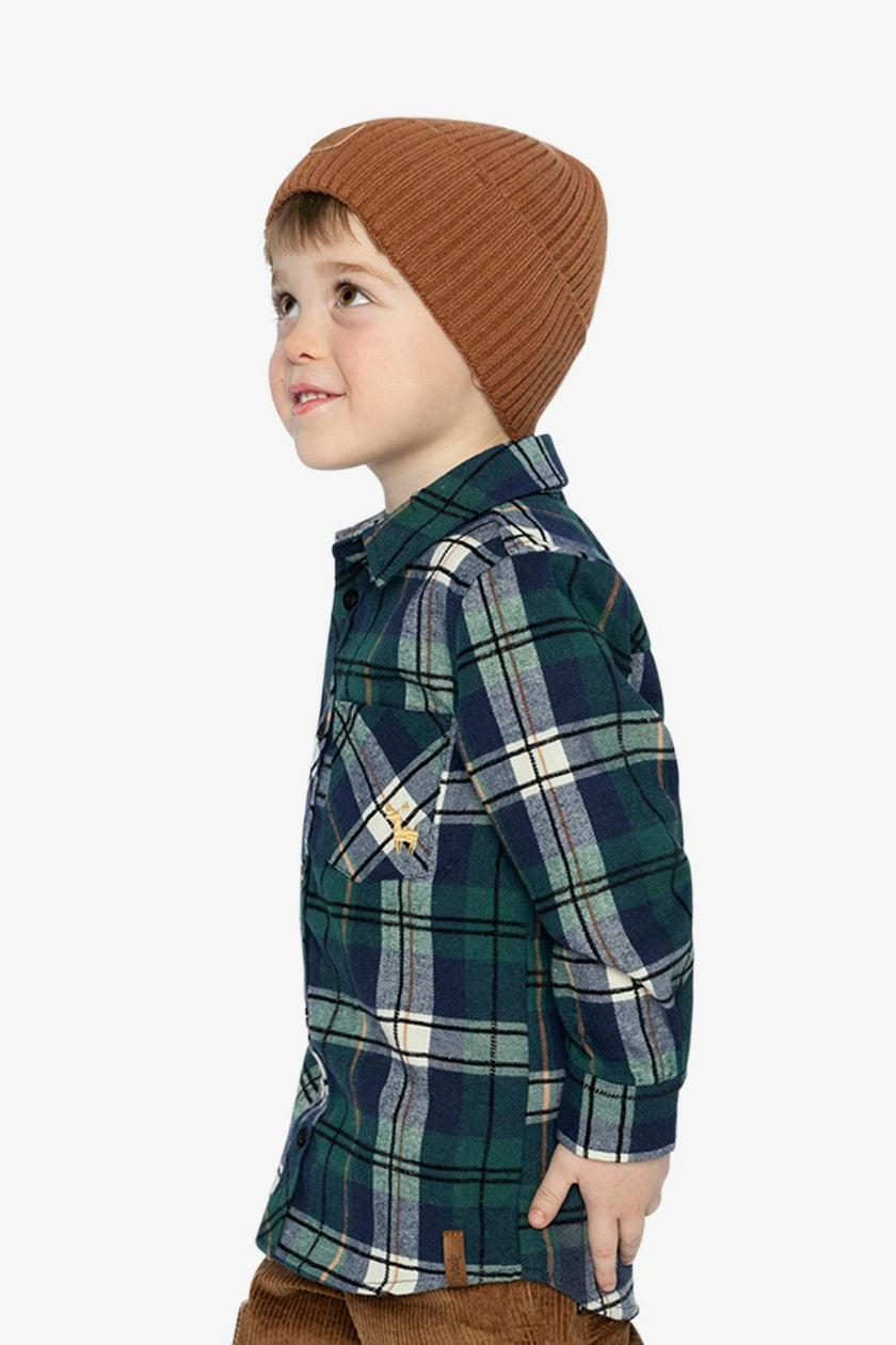 Plaid Shirt Blue And Green