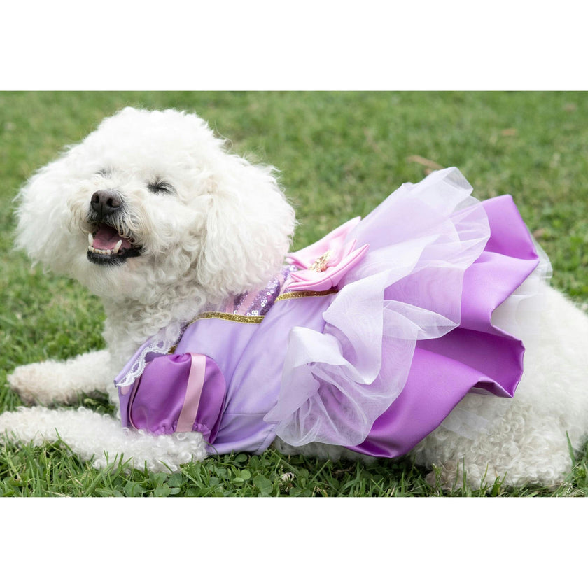 Disney Rapunzel Dress, Purple