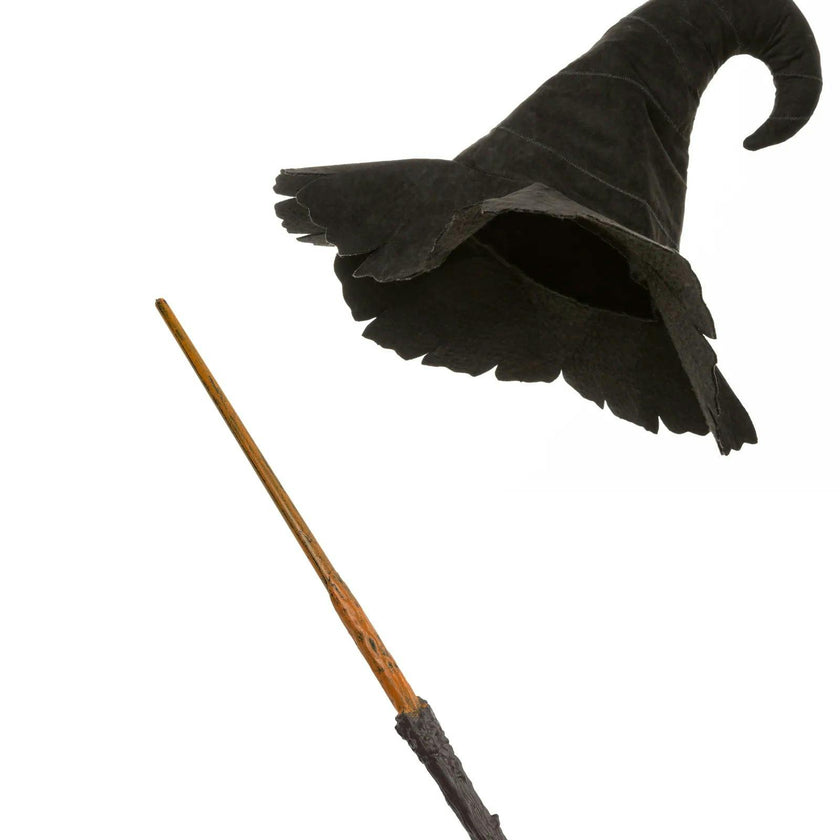 Mighty Wizard Hat & Wand Bundle