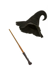 Mighty Wizard Hat & Wand Bundle