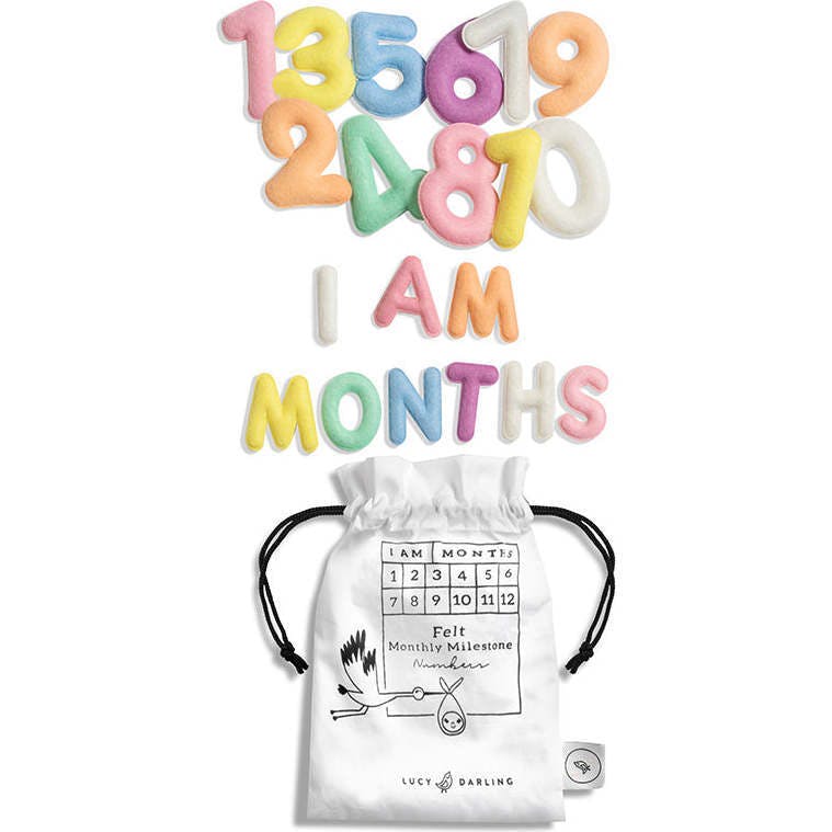 Milestone Felt Numbers in Pastel