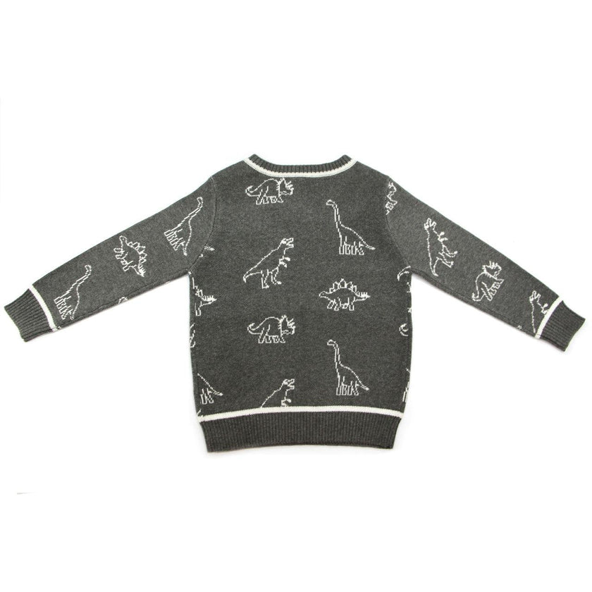 Leon Dinosaur Sweater Toddler