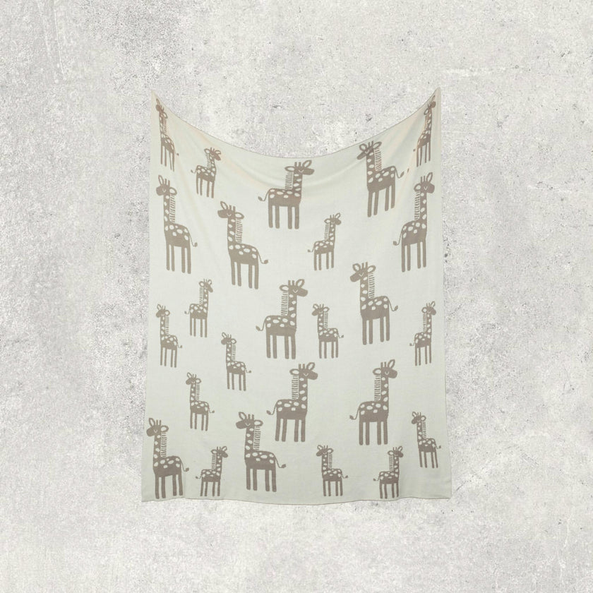 Reversible Baby Blanket Set