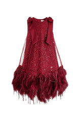 Red Sequin Feather Dress