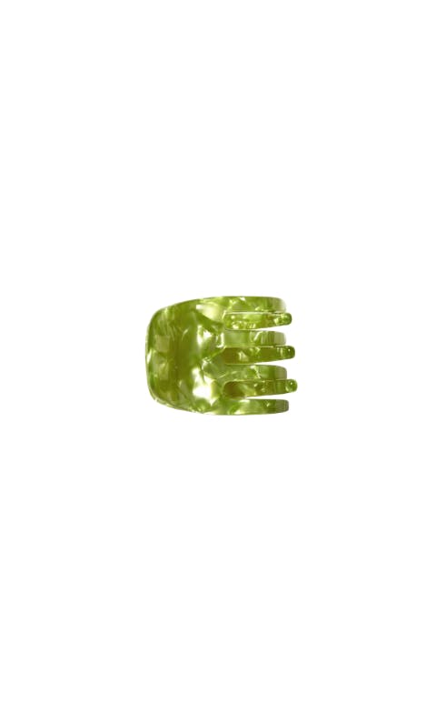 Mini Claw in Pistachio