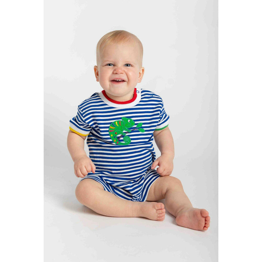 Stripe Knit Shortall With Lizard