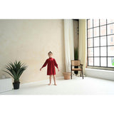 Rachel dress (ruby-red velvet)