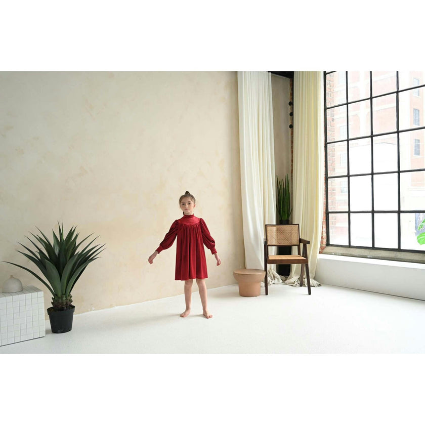 Rachel dress (ruby-red velvet)