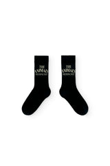Navy Snail Socks