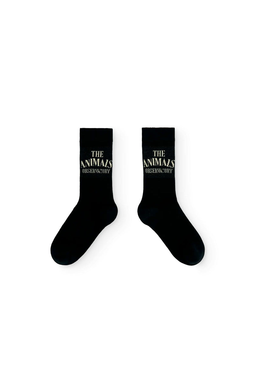 Navy Snail Socks