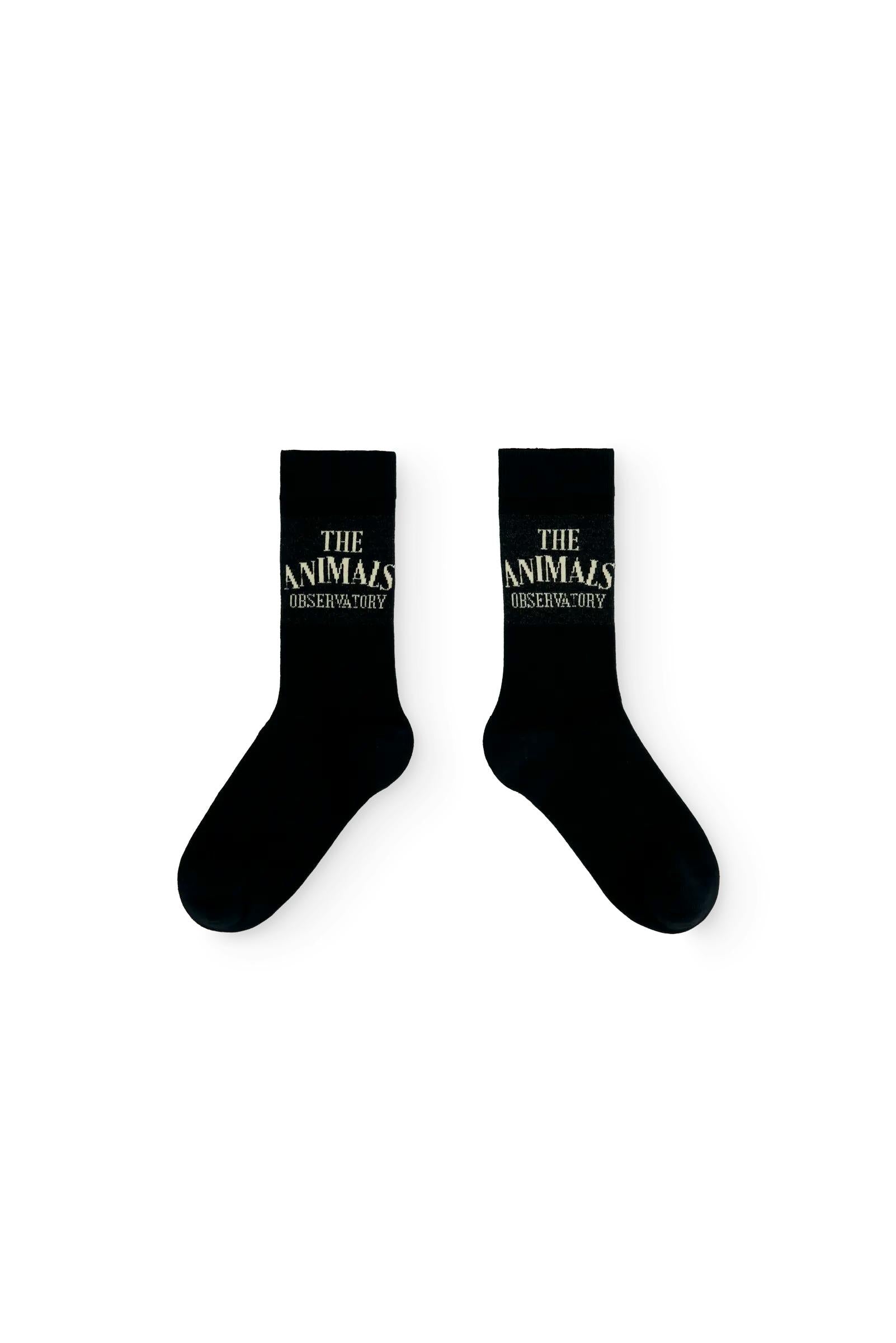 Navy Snail Socks