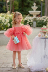 Blush Feather Fairy Tulle Flower Girl Dress