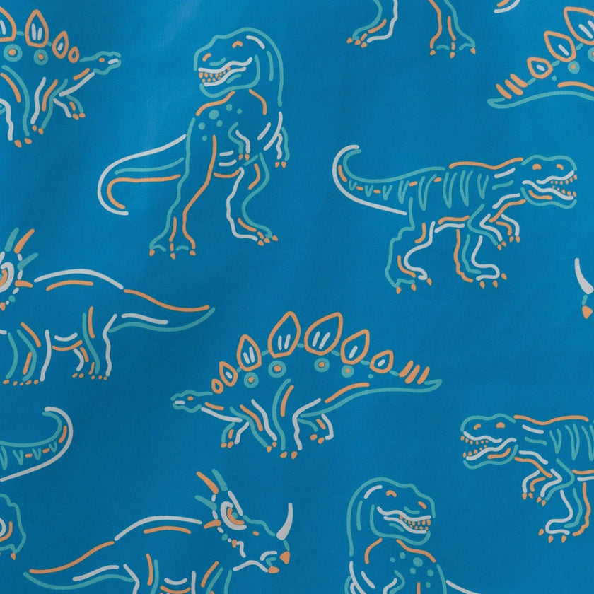 Boys Allover Print Raincoat | Blue Dino