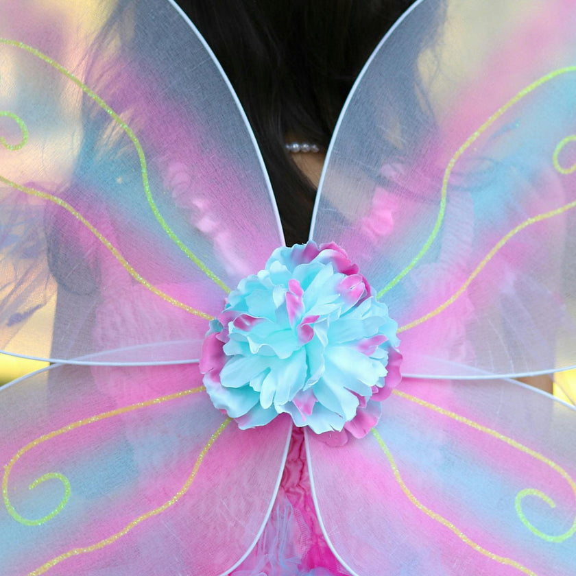Butterfly Dress & Wings with Wand