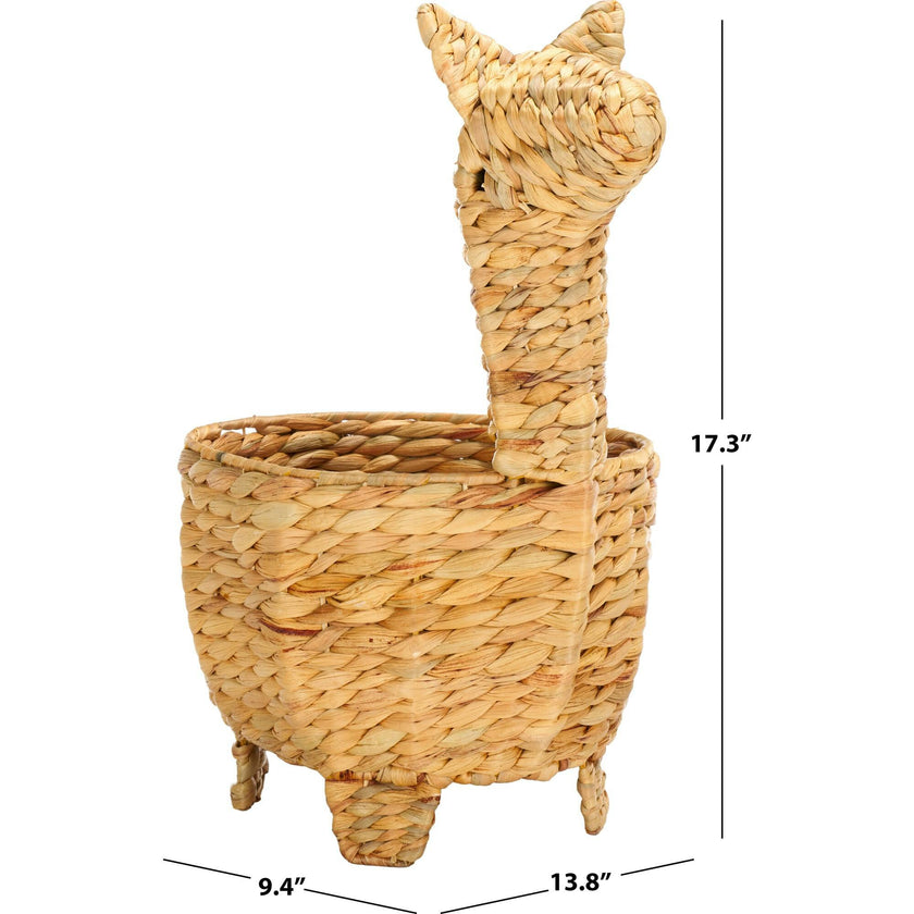 Auroris Basket