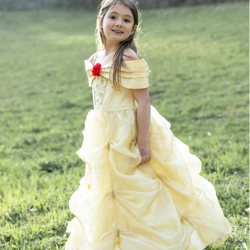 Once Upon a Princess Beauty Dress