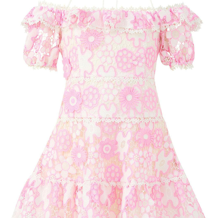 Haley Embroidered Mini Dress