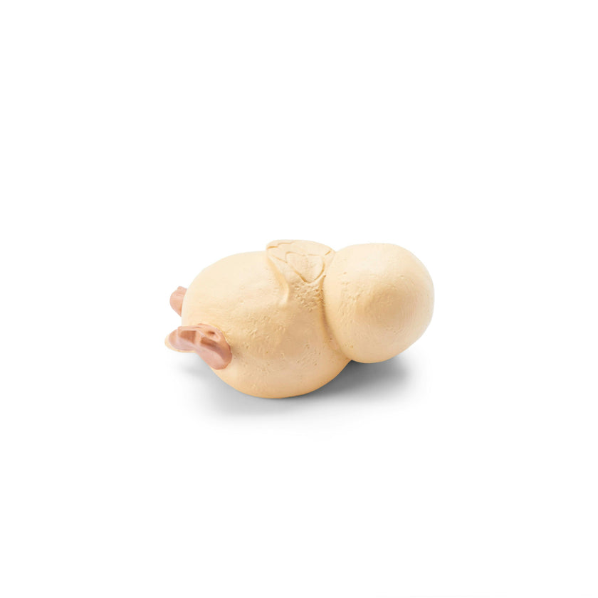 Snerle Duckling