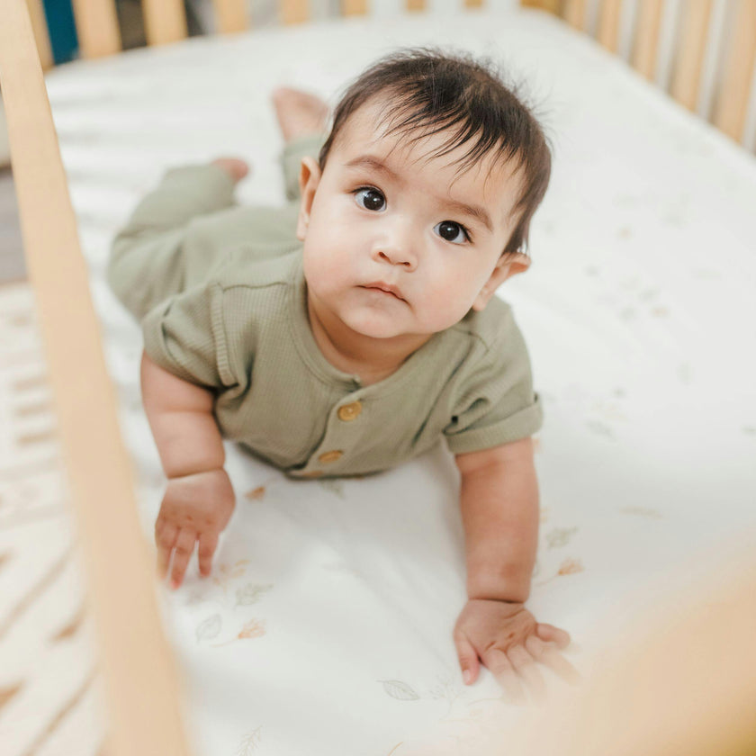Willow Dainty Leaf Cotton Fitted Crib Sheet