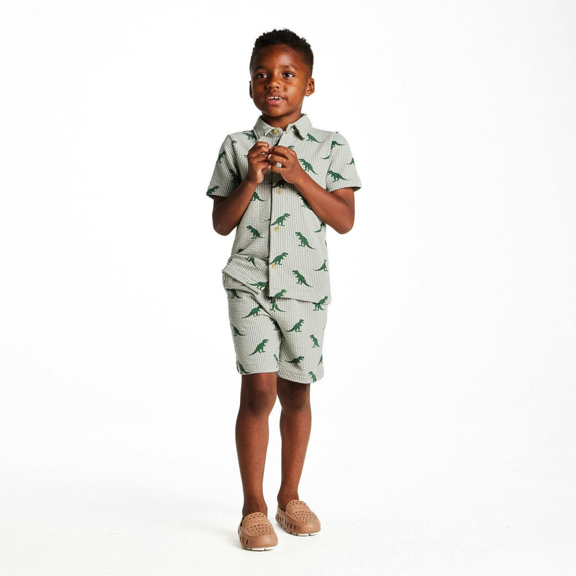 Boys Short Sleeve Cabana Set | Green Stripe Dino