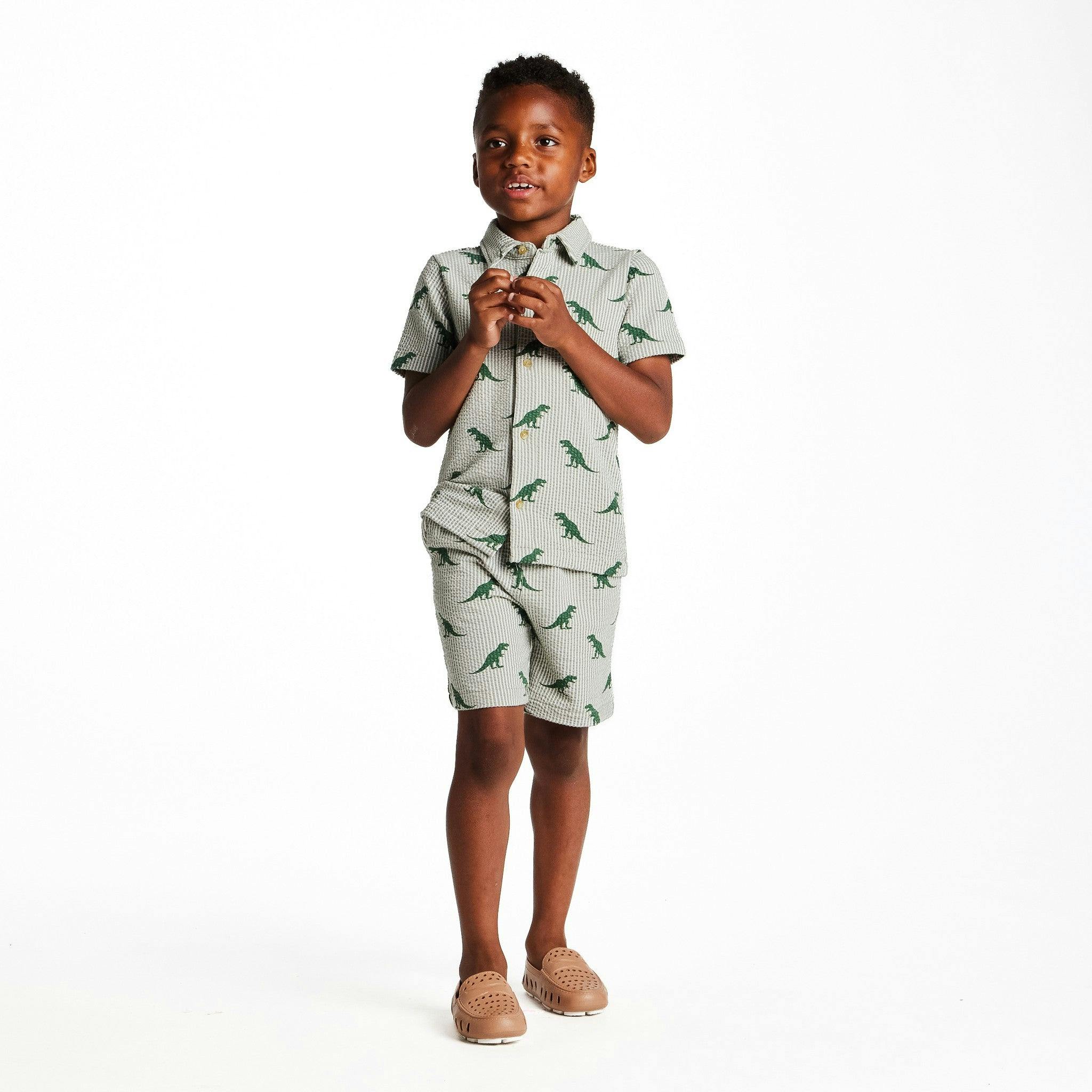 Boys Short Sleeve Cabana Set | Green Stripe Dino