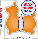 Rody Max with Pump