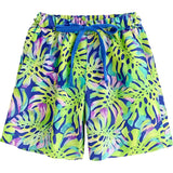 Gui Trunks - Montemar Print
