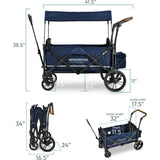 Pull & Push Double Stroller Wagon 2 Seater