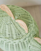 Handcrafted- Dinosaur Storage Basket Mint Green (Large) - Rattan Wicker