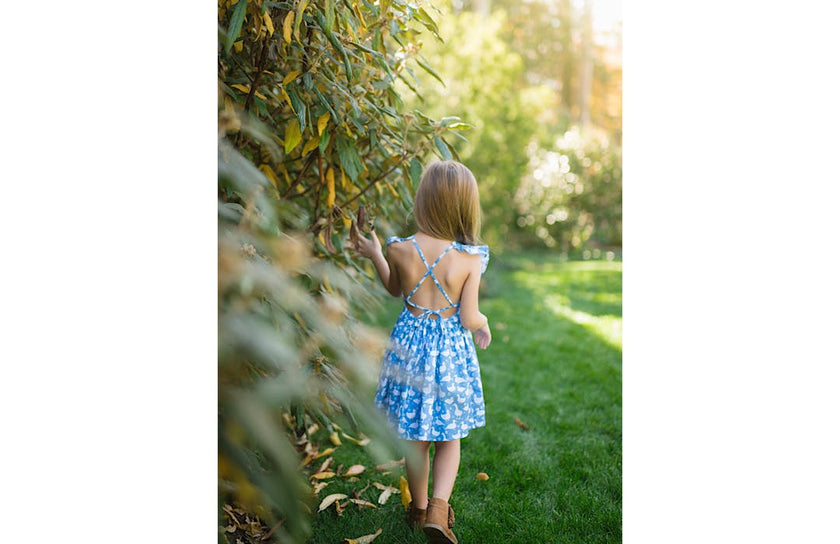 Ruffle Sleeve Dress in Ducks