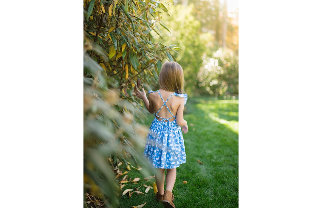 Ruffle Sleeve Dress in Ducks